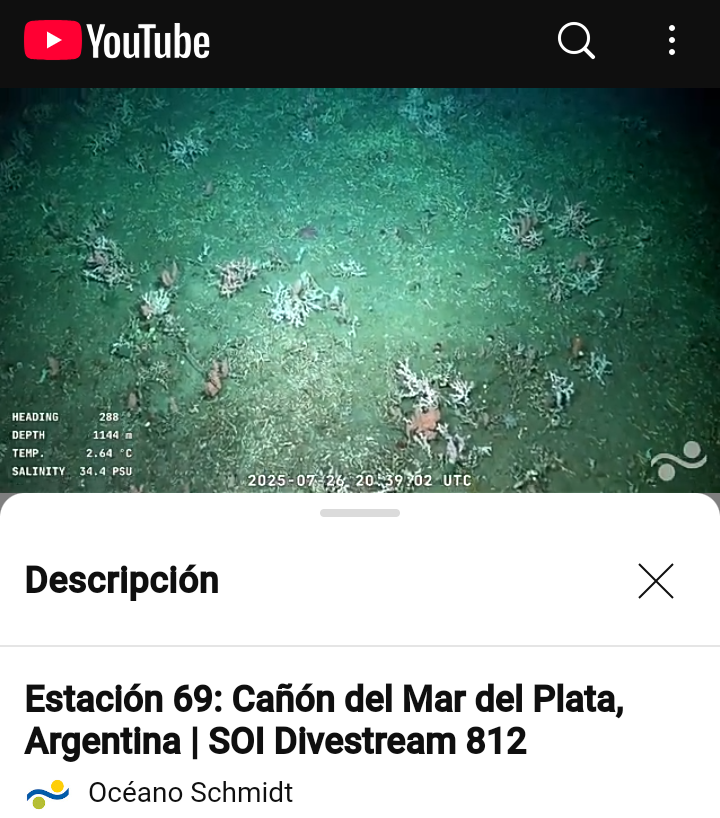 PFLisandro's tweet image. ⚫ El busque oceanográfico R/V Falkor Too, de Reino Unido, está en aguas argentinas, a la altura de Mar del Plata.
Mapea y toma muestras del lecho marino con un vehículo no truipulado ROV.
Repito: ¿Qué va a hacer Fuerza Patria para defender nuestra soberanía marítima?