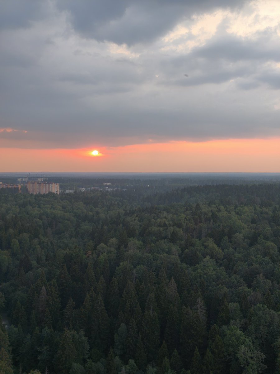 Когда только понедельник, а уже заебалась от этой недели