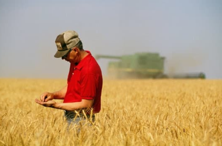 Think the ag industry could benefit from more farmer input?

So do we.

That’s why we work directly with growers to understand what’s really happening in the field.

Want in?

stratusresearch.com/sign-up/

#AgResearch #AgTwitter