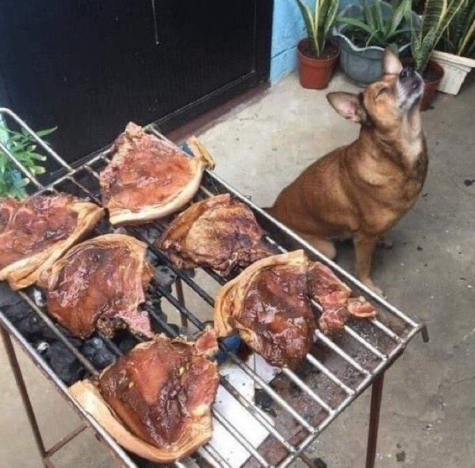 “Nakupenda kama kaka angu”💔😂🚮