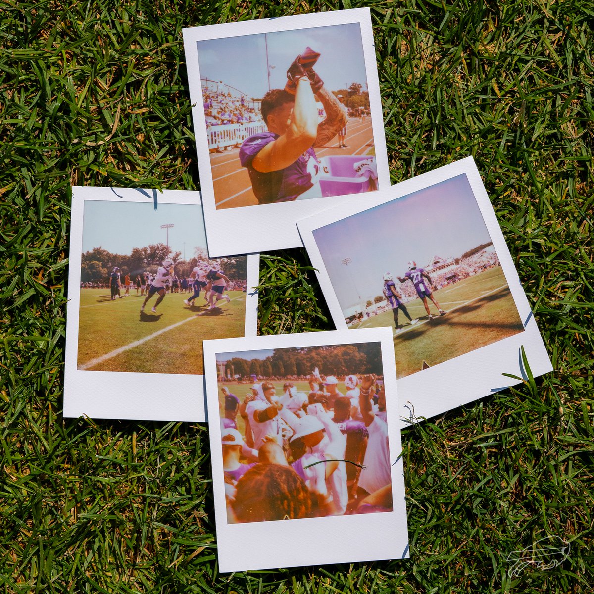 PSA: New Bills Polaroids have dropped. 📸

#BillsCamp | #BillsMafia