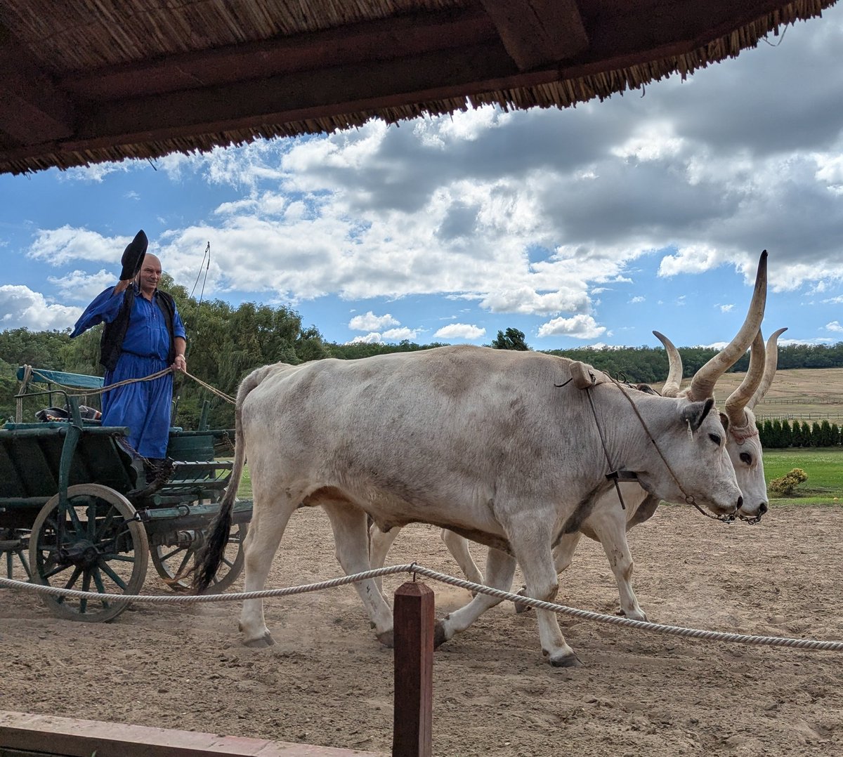ChtSutAntiques's tweet image. Saw some Hungarian horses today...