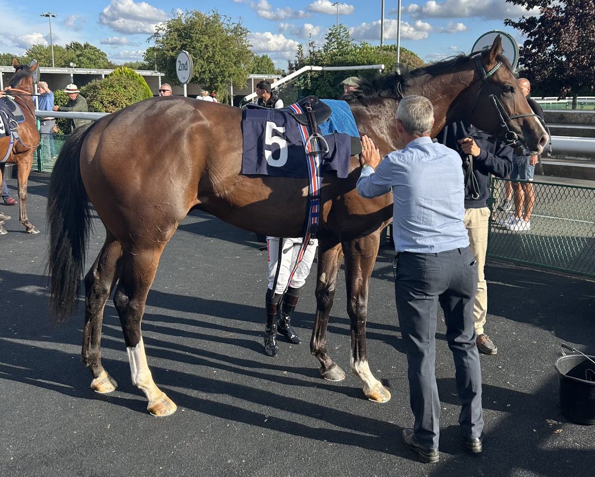 Simon Mapletoft (@simonmapletoft) on Twitter photo Another impressive 2yo winner ā¦<a href="/Southwell_Races/">Southwell Racecourse</a>ā© as May Angel wins the 7f novice for team Gosden, ā¦<a href="/BlueDiamondStd/">Blue Diamond Stud</a>ā© and ā¦<a href="/HollieDoyle1/">Hollie Doyle</a>ā© āļø ā¦<a href="/AtTheRaces/">At The Races</a>ā© ā¦<a href="/SkySportsRacing/">Sky Sports Racing</a>ā© Another impressive 2yo winner ā¦<a href="/Southwell_Races/">Southwell Racecourse</a>ā© as May Angel wins the 7f novice for team Gosden, ā¦<a href="/BlueDiamondStd/">Blue Diamond Stud</a>ā© and ā¦<a href="/HollieDoyle1/">Hollie Doyle</a>ā© āļø ā¦<a href="/AtTheRaces/">At The Races</a>ā© ā¦<a href="/SkySportsRacing/">Sky Sports Racing</a>ā©
