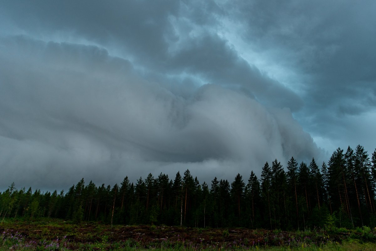 Vuoden hienoimpia vöyryä tänään Kannuksesta. Vaikeuksia kuvauksen suhteen ja tämänkin nappasin autosta mutta ikuistettu kuitenkin. Kannus 28.7.2025. #vyory #shelfcloud