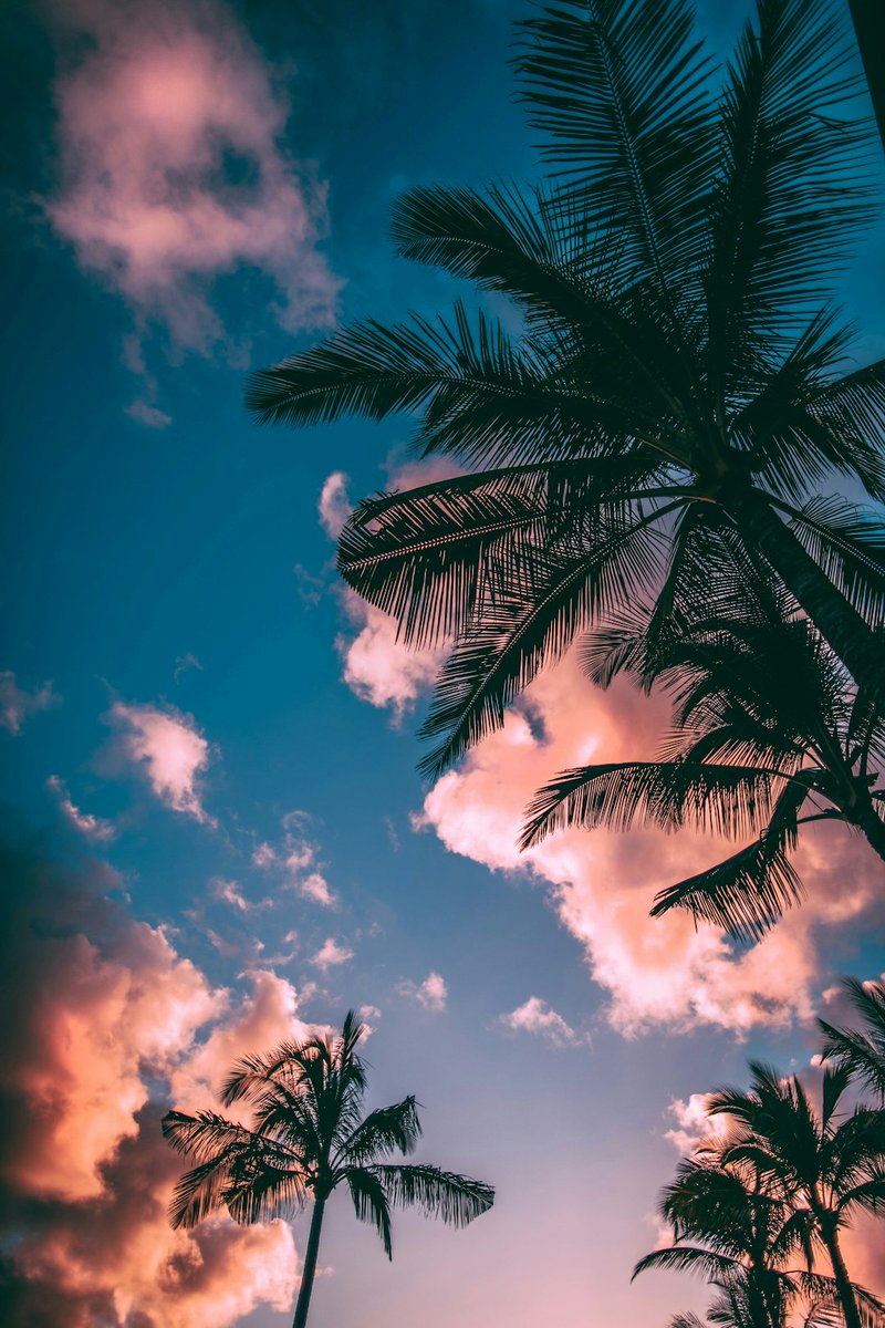 jwdzd26627911's tweet image. Blockchain #DApp #SummerCoding #TechLife