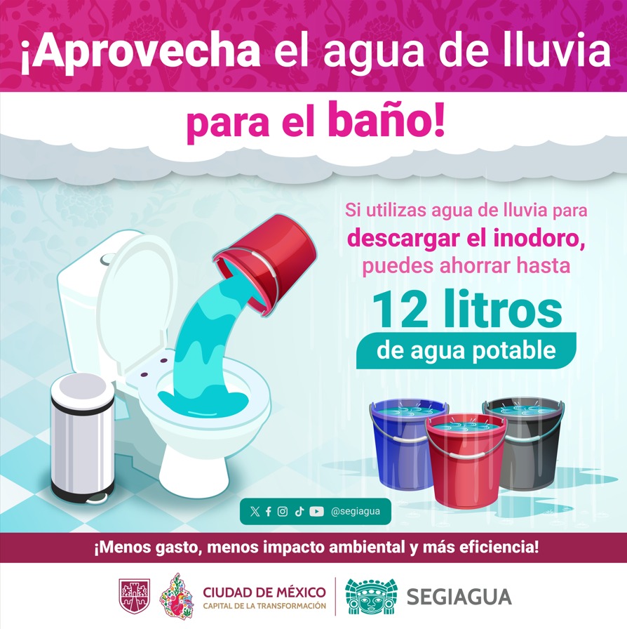 SEGIAGUA's tweet photo. 🚽 En cada descarga del baño se desperdician hasta 12 litros de agua potable.
Si almacenas agua de lluvia la puedes utilizar para llenar el tanque del inodoro y evitar un desperdicio considerable. 💧
#CosechaDeLluvia #HogarSustentable #AhorroDeAgua https://t.co/xsddOkjt4U