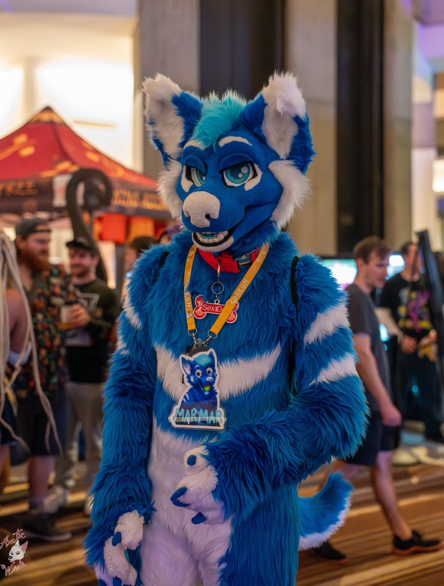 Roaming the con floor looking for cuties 😏

📸: <a href="/ArcticWindPhoto/">Arctic Winds Photos</a>