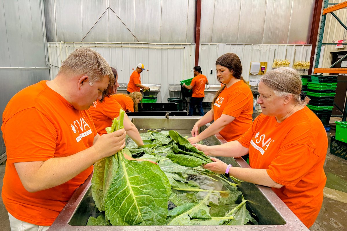 Hunger Task Force (@hungertaskforce) on Twitter photo Throughout July, the #HungerTaskForceFarm hosted hundreds of group and individual #volunteers to help us transplant, clean up natural areas and harvest fresh fruits and vegetables for local families. THANK YOU volunteers! You help us keep our Milwaukee neighbors fed! Throughout July, the #HungerTaskForceFarm hosted hundreds of group and individual #volunteers to help us transplant, clean up natural areas and harvest fresh fruits and vegetables for local families. THANK YOU volunteers! You help us keep our Milwaukee neighbors fed!