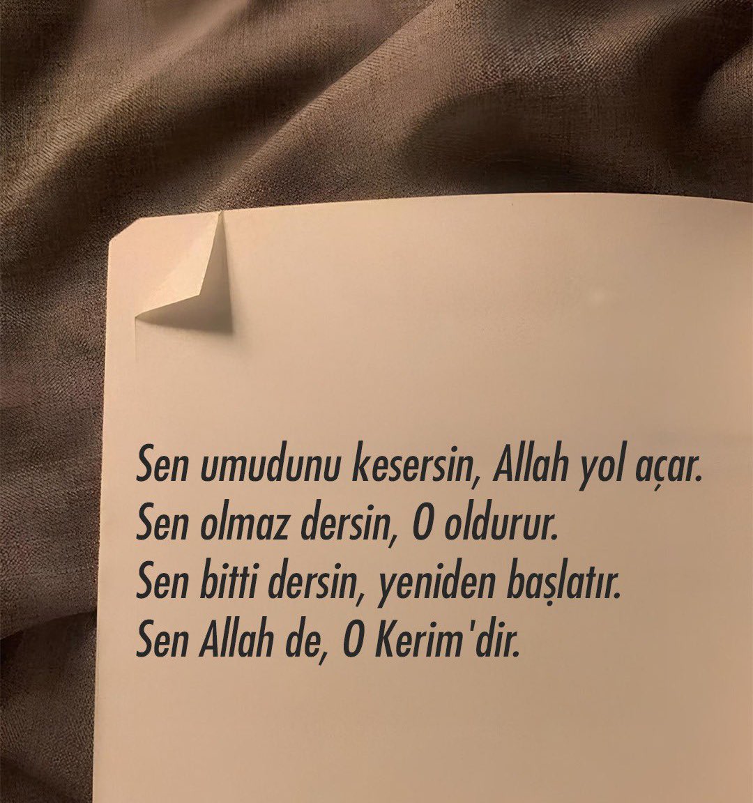 ayaserenat's tweet image. 