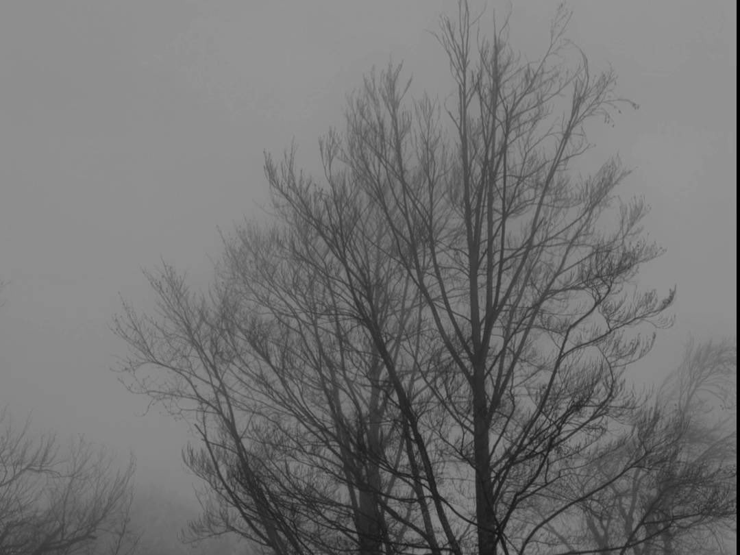 定 (@de3dsoul) on Twitter photo 