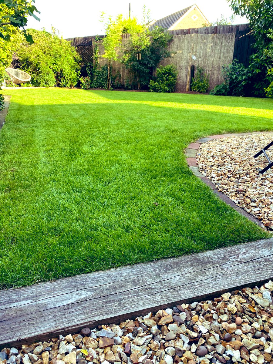 AndyPearson68's tweet image. Hopefully we are all getting there slowly 🏡👨‍🌾🌱✂️. Few small patches in the back &amp;amp; some work to do in Sep 📅 in the front but that recent ☔️ was most welcome 🙏.