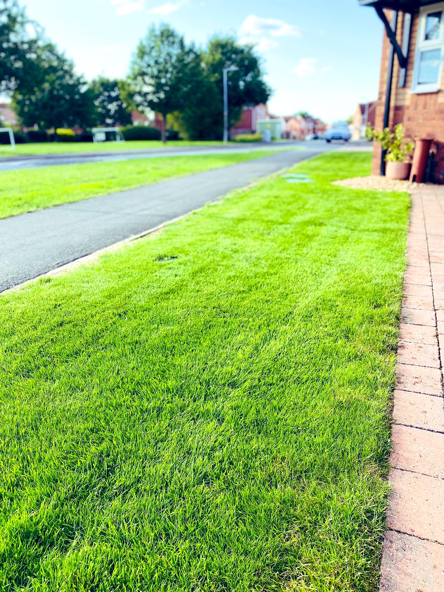 AndyPearson68's tweet image. Hopefully we are all getting there slowly 🏡👨‍🌾🌱✂️. Few small patches in the back &amp;amp; some work to do in Sep 📅 in the front but that recent ☔️ was most welcome 🙏.