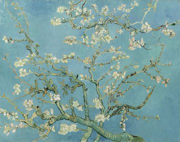 Op deze dag in 1890 overleed Vincent van Gogh. Hij is een van de bekendste schilders uit de negentiende eeuw, al kwam die erkenning achteraf. Zijn schilderstijl is het beste te omschrijven als post-impressionistisch. Mooie dag om hem te eren.

Wat is jullie favoriete werk?