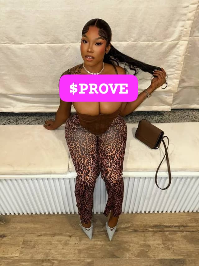 saybugs's tweet image. gprove @SuccinctLabs fam 🥹