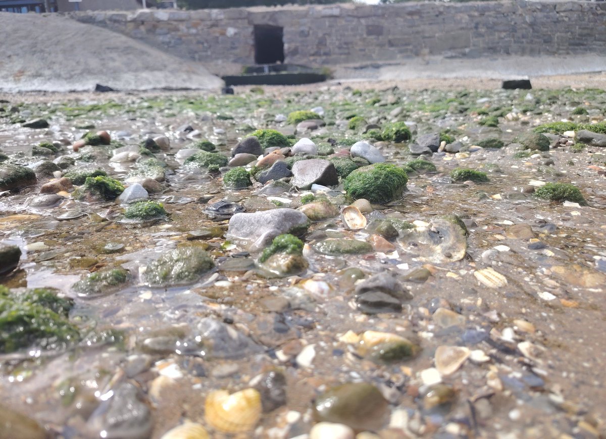 risnotthere's tweet image. water