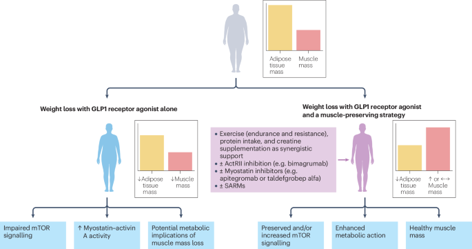 New content online: Balancing weight and muscle loss in GLP1 receptor agonist therapy bit.ly/41il6iv