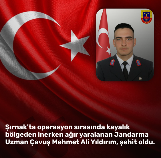 Emiralp Gedik tweet media