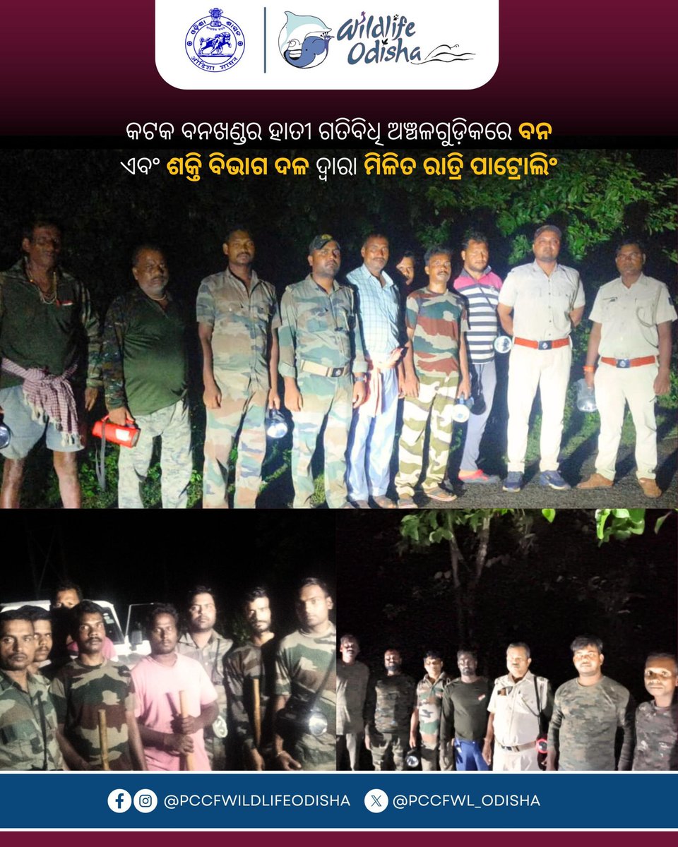 PCCFWL_Odisha's tweet image. କଟକ ବନଖଣ୍ଡର ହାତୀ ଗତିବିଧି ଅଞ୍ଚଳଗୁଡ଼ିକରେ ବନ ଏବଂ ଶକ୍ତି ବିଭାଗ ଦଳ ଦ୍ୱାରା ମିଳିତ ରାତ୍ରି ପାଟ୍ରୋଲିଂ କରାଯାଇଛି । ବିଦ୍ୟୁତ୍ ଚୋରି ରୋକିବା ଏବଂ ବନ୍ୟପ୍ରାଣୀମାନଙ୍କୁ ସୁରକ୍ଷା ଦେବା ପାଇଁ ଏହି ପଦକ୍ଷେପ ନିଆଯାଇଛି ।

#ElephantProtection #NightPatrolling #CuttackForestDivision #WildlifeSafety