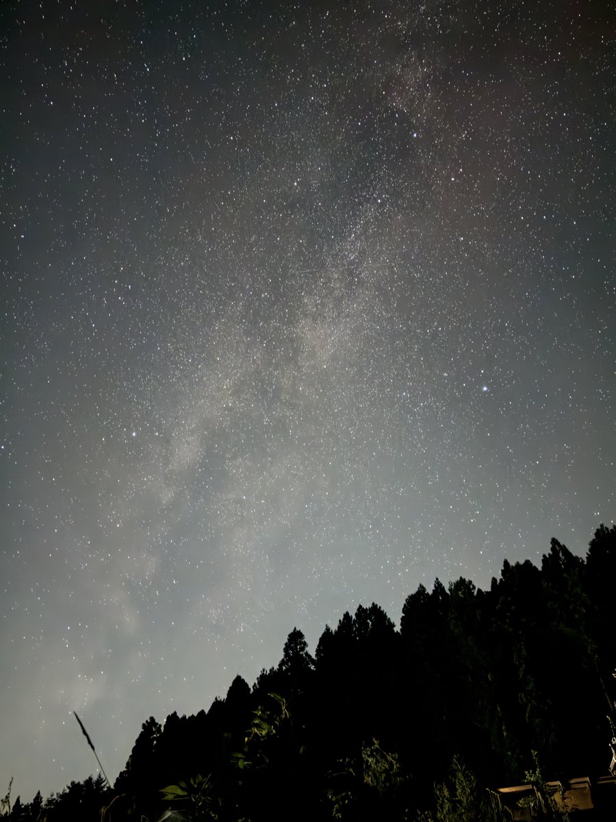 星空 - Search / X