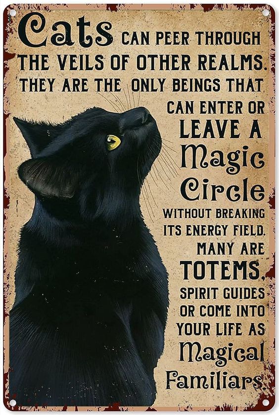 SamySpellcaster's tweet image. 