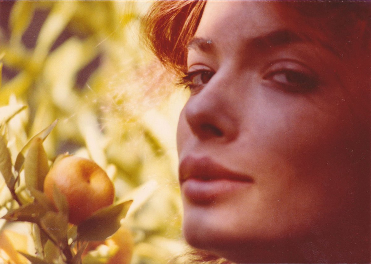 zweigsballs's tweet image. “But I’ve had a pretty good time. I just wish I’d– I wish I could’ve been happy”
— Zoë Lund