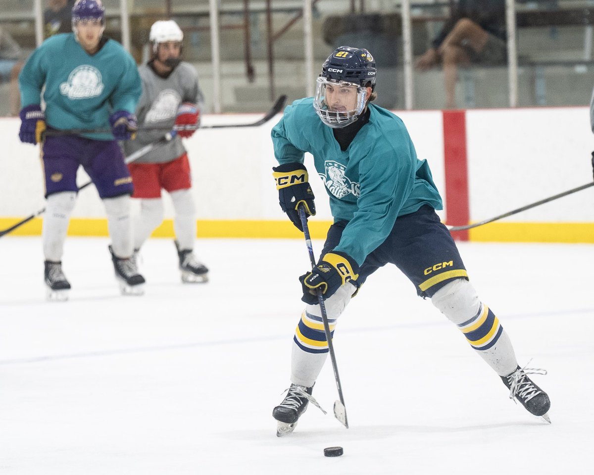 That’s a wrap on the 2025 Mallards Main Camp! Thanks to all the players, families, and staff who made it a great few days. #MallardsHockey #FearTheFlock #NAHL