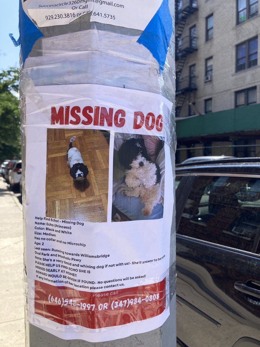 Seen at Rochambeau Ave &amp; Van Cortlandt Ave in Norwood.