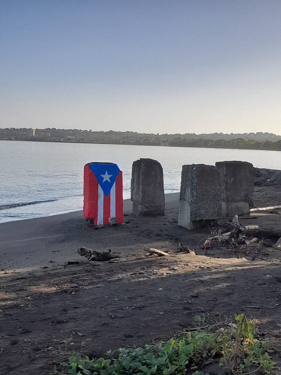 CrusingPr's tweet image. 