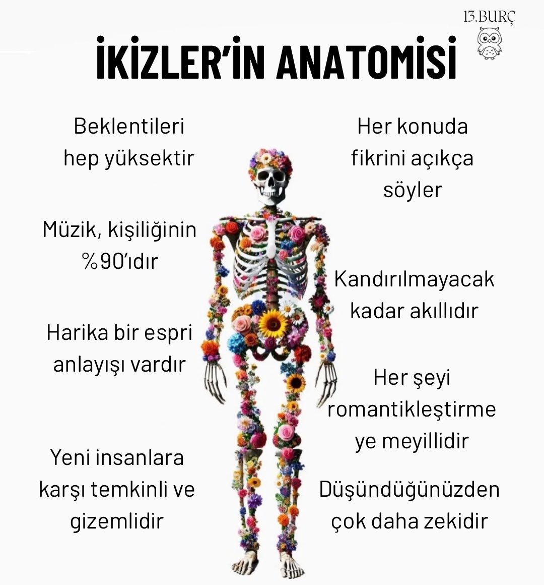 İKİZLER’İN ANATOMİSİ