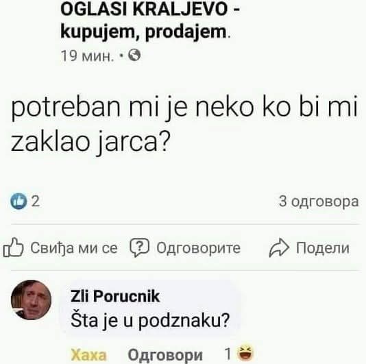 SinjorZ1's tweet image. 