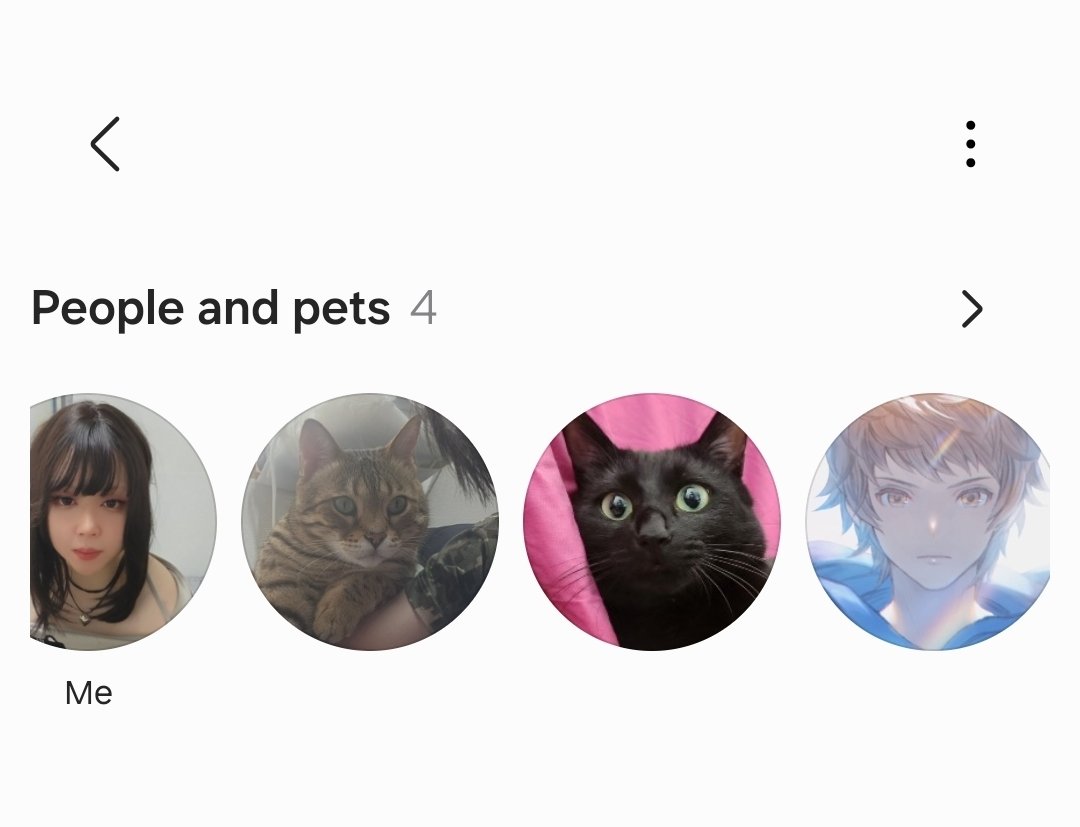 me, my cats, and the ever-determined John Granblue