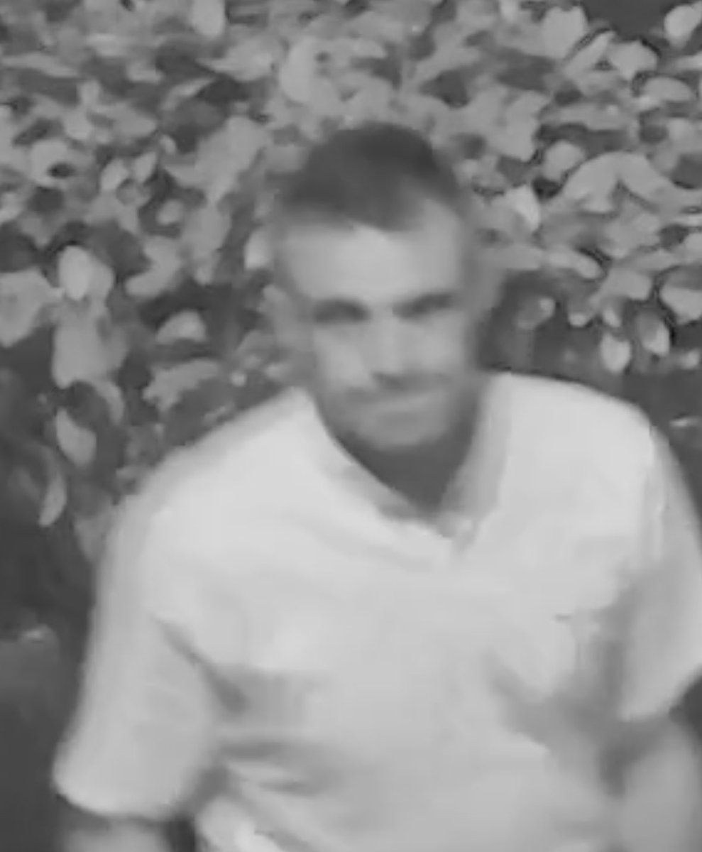 bayes_euler's tweet image. Anyone know who these two are