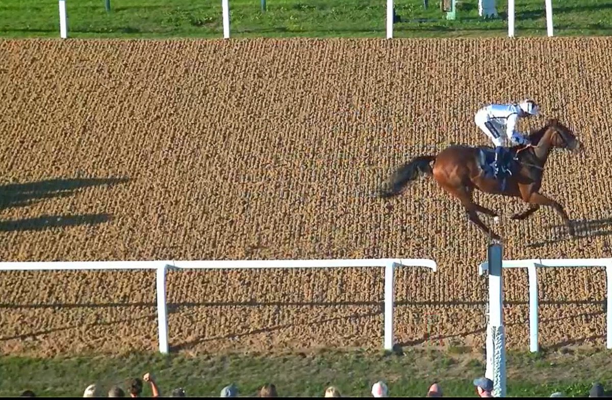 1st Tiempo Alegre

2nd shadows!!! 
<a href="/HectorCrouch/">Hector Crouch</a> <a href="/JackJonesRacing/">Jack Jones Racing</a> <a href="/NBradleyRacing/">Nick Bradley Racing</a>