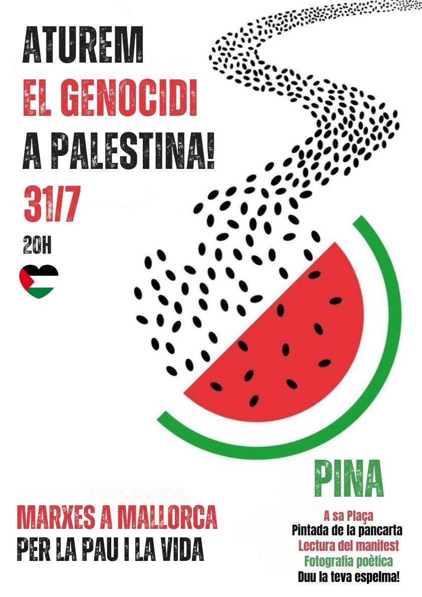 joan collet tweet media