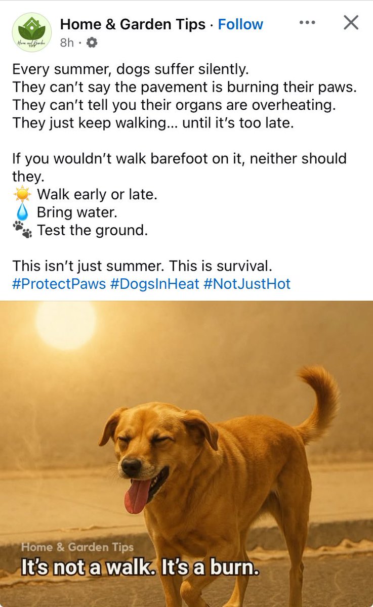 Norwood News (@norwoodnews) on Twitter photo 