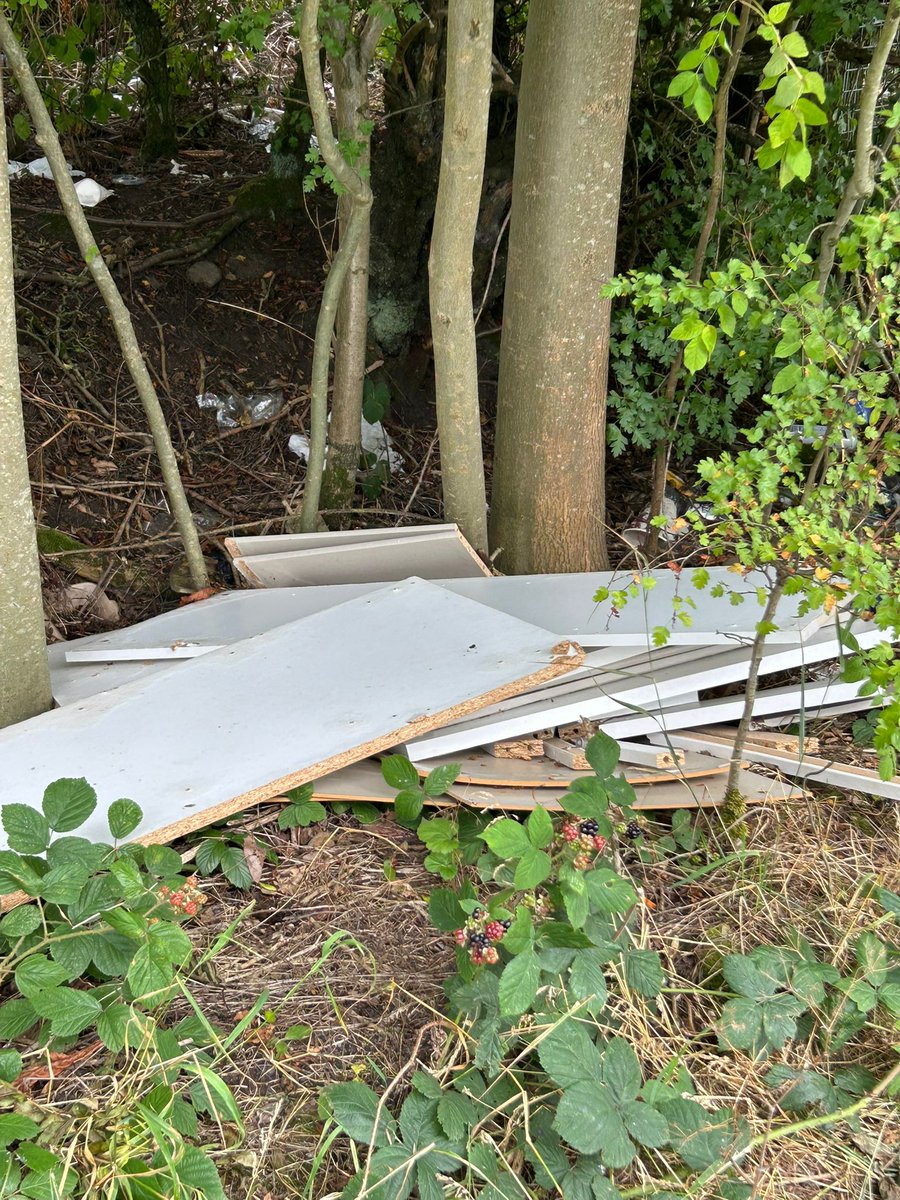 Rowley's Summer Cleanup Crew.
While most are on holiday, Julie, Callum, &amp; Chloe are out smashing it on their adopted street in #Rowley. They've been clearing so much rubbish,they even ran out of litter bags.Big thanks to this dream team for showing us community spirit. #sandwell