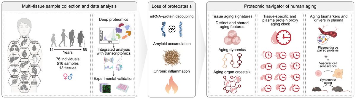 Some very interesting reads on genetics &amp; omics from last week🧵