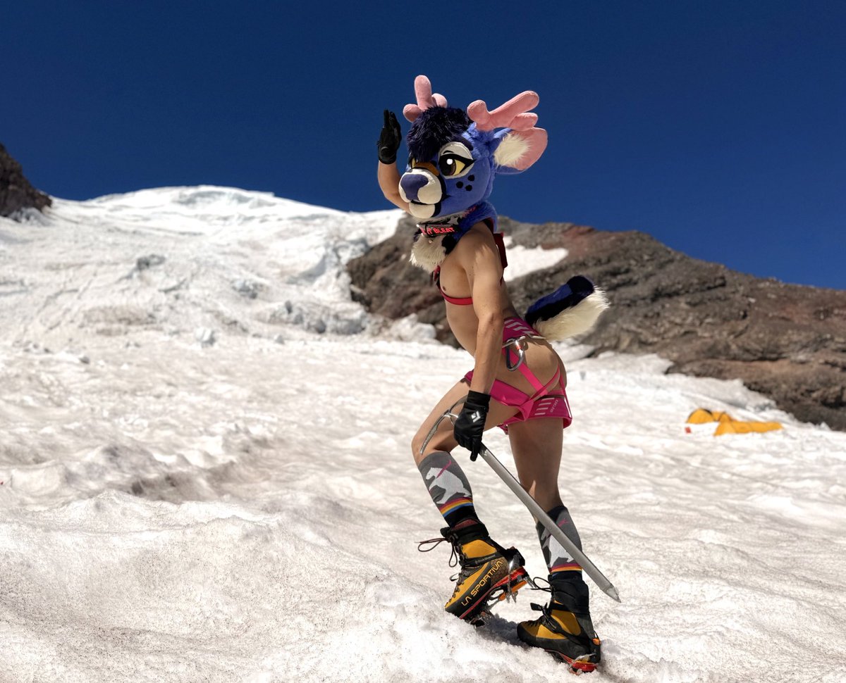 Come stick the summit with me? 👉👈

📸 <a href="/reziduethm/">Rezi</a> 
🦌 🪡 <a href="/WildcatCostumes/">Wildcat Costumes 🪡🐾</a>