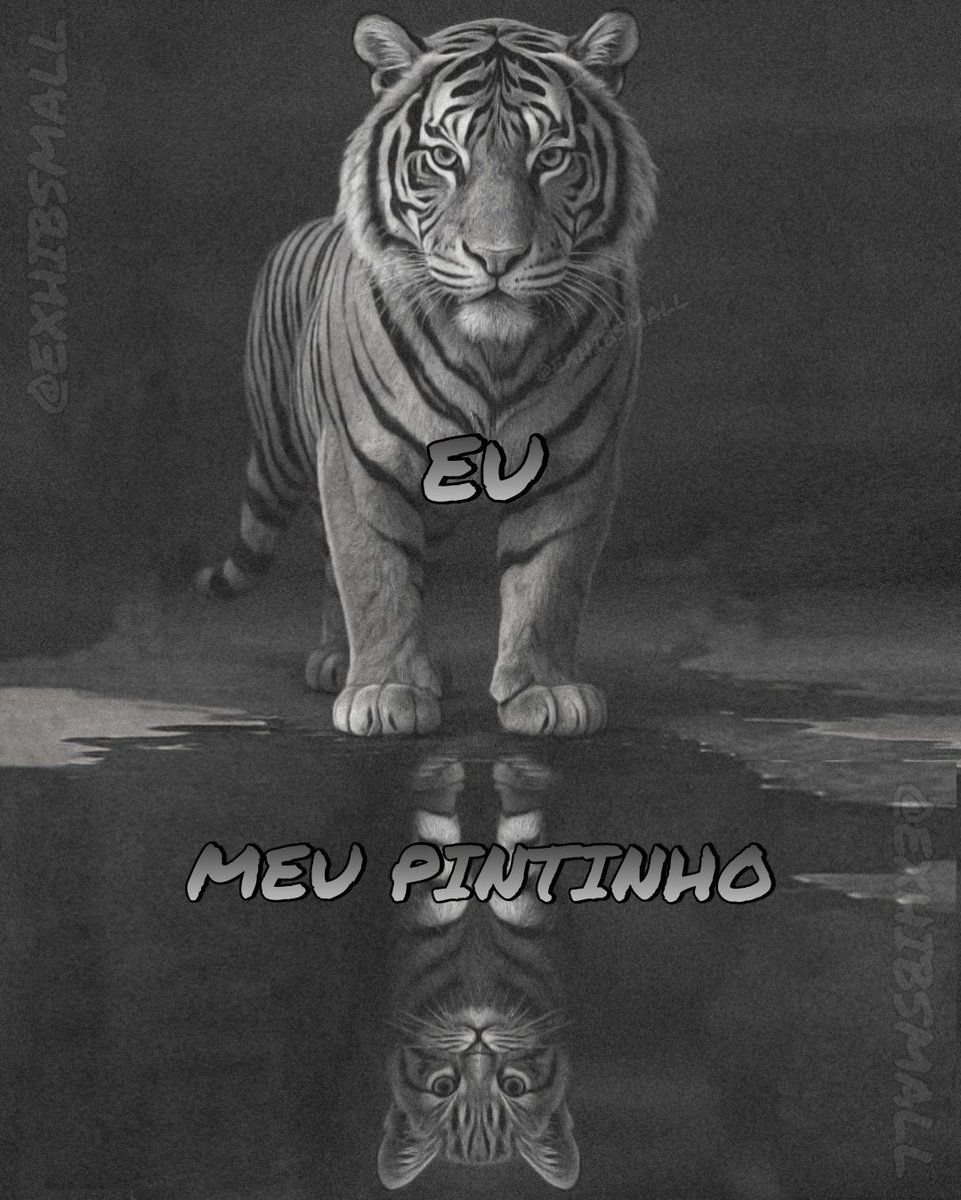 Exhib Small - Pau pequeno 🤏🏻 tweet media