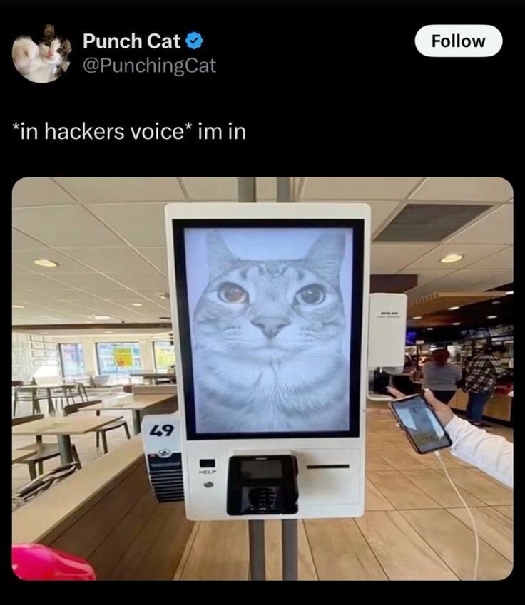 🕐HOURLY🕑 shitpost (@hourly_shitpost) on Twitter photo 