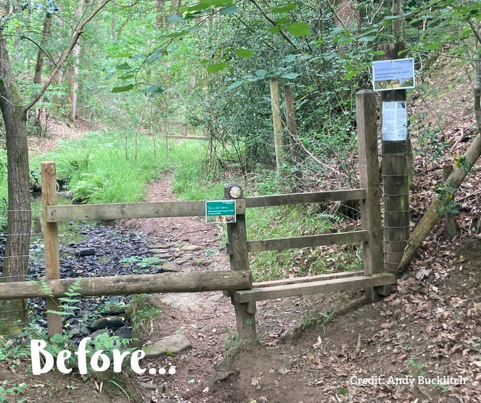 WorcsWT's tweet image. Phew! On the hottest day of the year so far a few weeks back, our fabulous conservation trainees chiselled out a rickety stile from solid sandstone at #PoundGreenCommon, installed a new kissing gate and then went to collect a new picnic table for #Monkwood on their way back.…