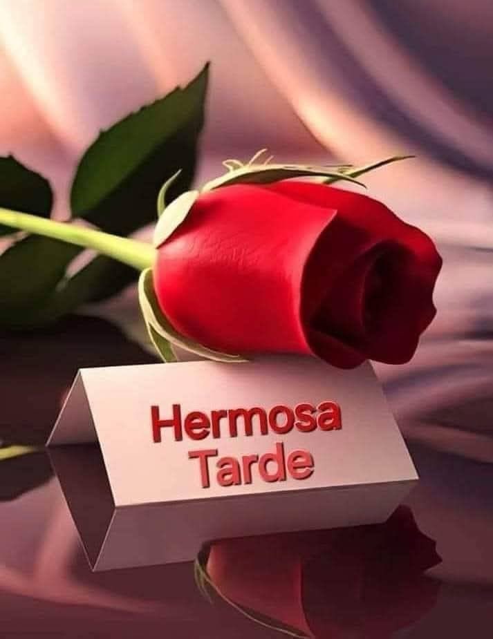 LmLiberato's tweet image. 