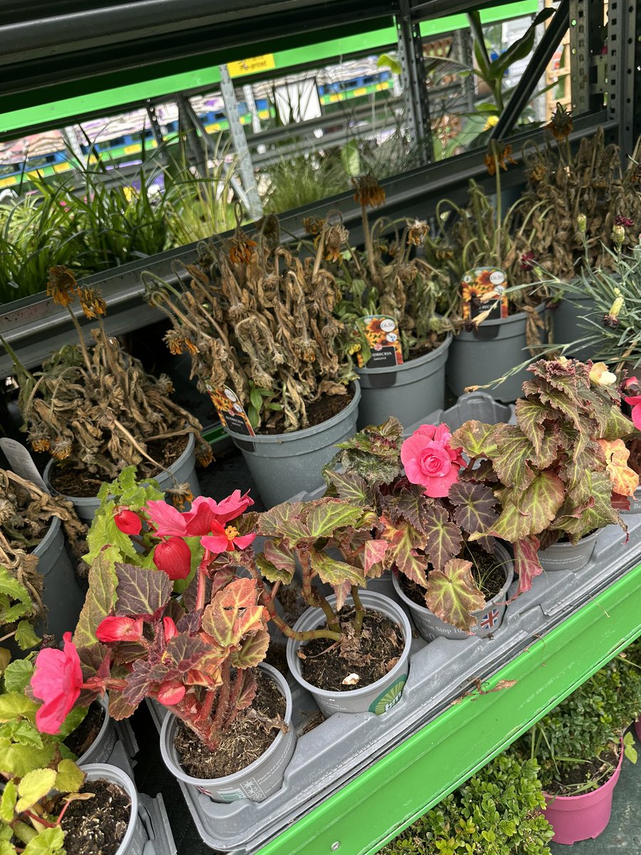 ⚫️Alan Thomas Spink tweet media