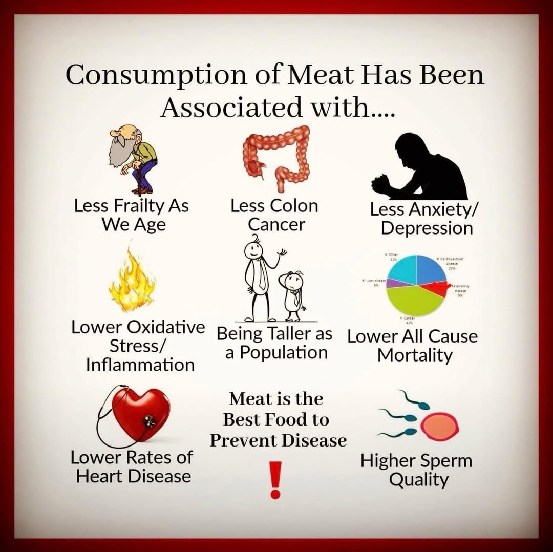 thecarnivorebar's tweet image. repost @mitochondrialhealthLLC
Meat is the way! #eatmeat #exvegan #notavegan #carnivore #meatbased