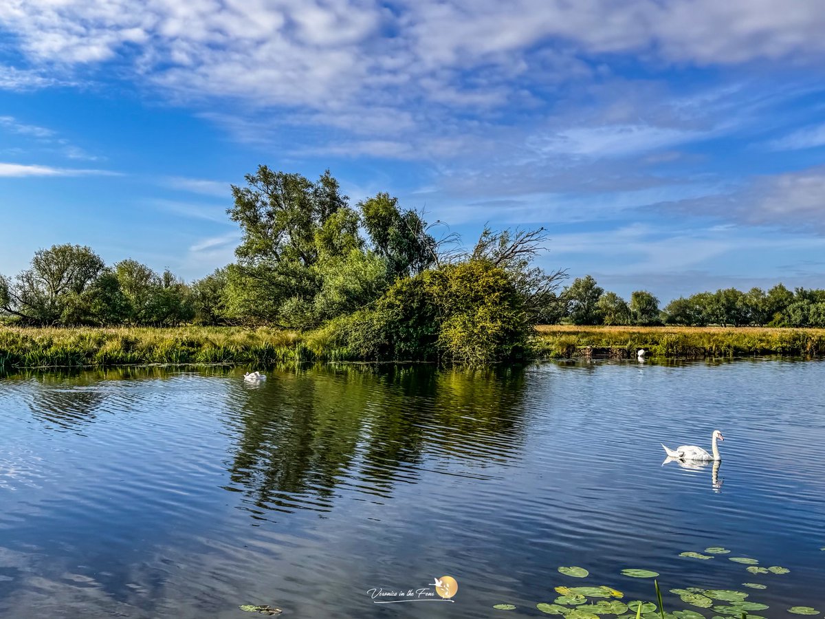 This morning in Ely, Cambridgeshire