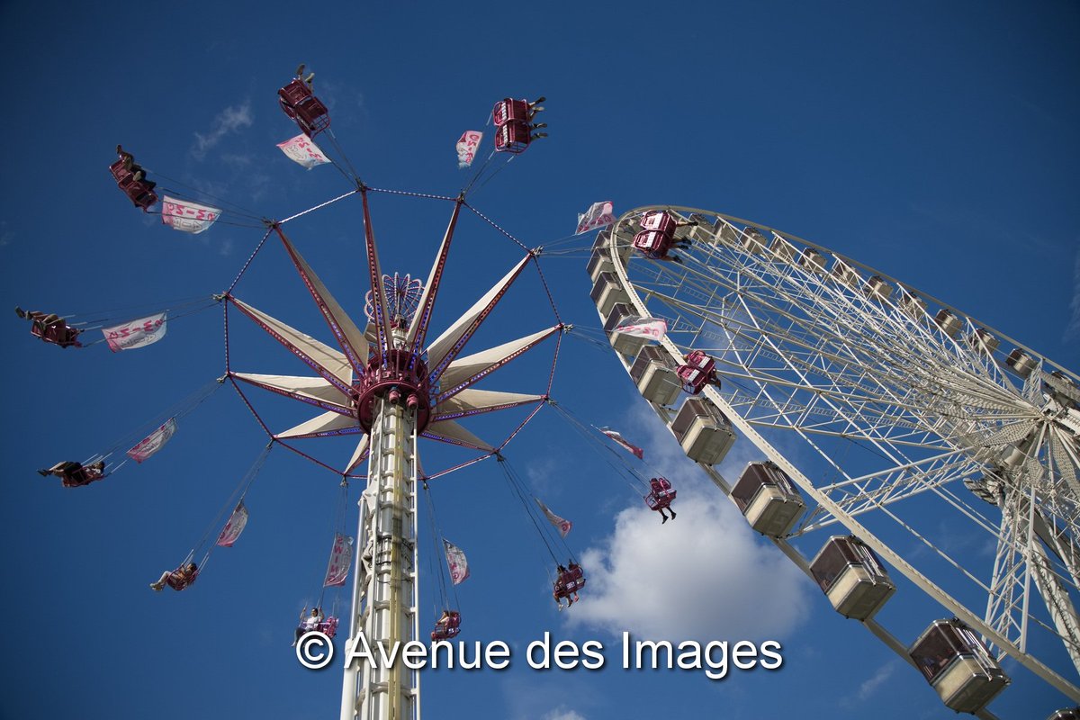 Avenue des Images tweet media