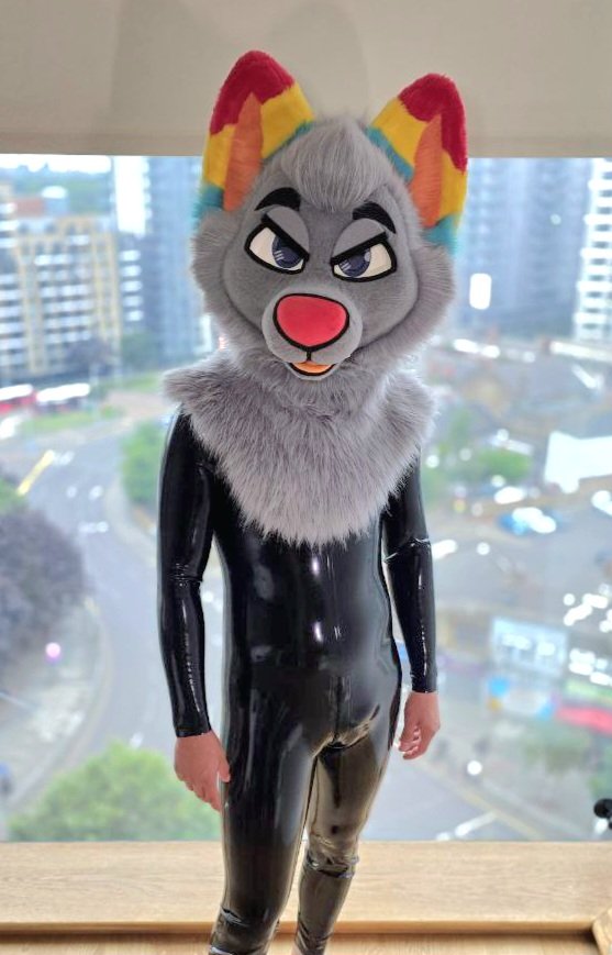 First time shiny dog 👀 🌟
What do you think should I get one ? 🤪