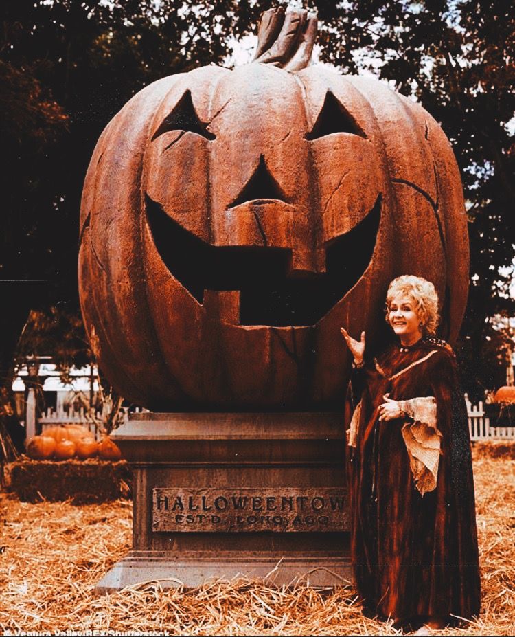 25 days until Halloween 2025!
Are you ready?
🎃🍂🎃🍂🎃🍂🎃🍂🎃
#Halloween