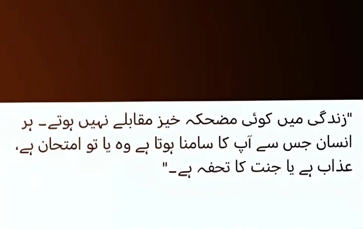 Kiran Rafiq (@kiranrafiq783) on Twitter photo 