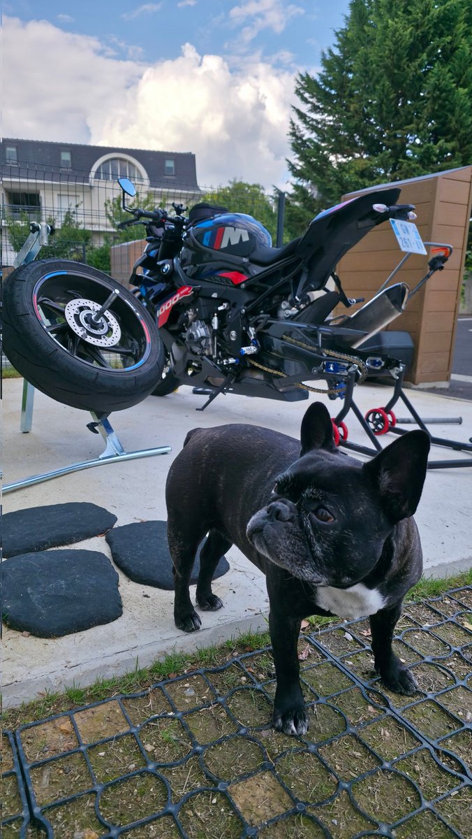 Meca bien accompagné